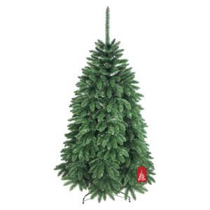 Karácsonyfa Kanadai lucfenyő 220 cm