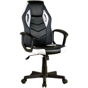 Dark FG21 Gamer szék - fekete-fehér