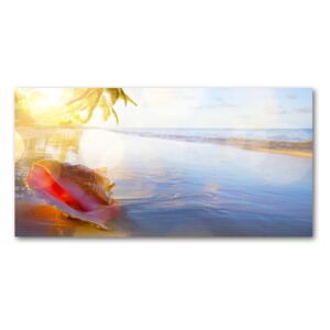 Üvegfotó Seashell a strandon