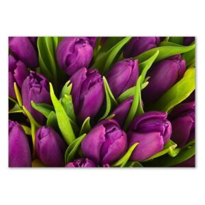 Egyedi Üvegkép Lila tulipánok