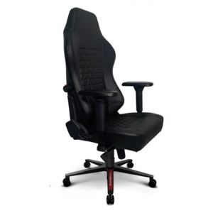 ARENARACER Premiere gamer szék