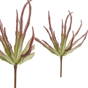 Haworthia művirág-Lakáskiegészítők