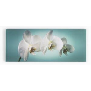 Keret nélküli kép - vászonnyomtatás - 40-615, Teal orchid, Wall Art, Graham Brown