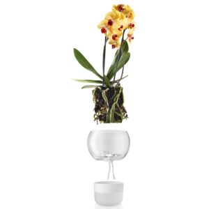 Önöntözős üveg virágcserép orchideához 15 cm, Eva Solo