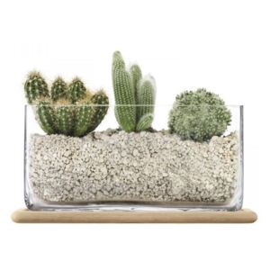 Plant négyszögletű üveg virágtartó, 19,5cm LSA, kézzel készített