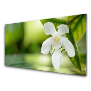 Üvegkép virág levelek 100x50 cm
