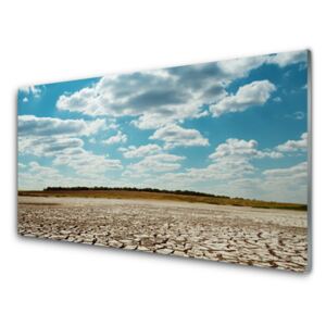 Üvegkép falra Fekvő sivatagi homok 125x50 cm
