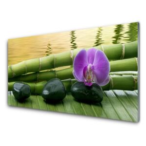 Üvegkép Virág Stones Bamboo Nature 100x50 cm