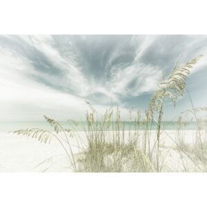 Exkluzív Művész Fotók Heavenly calmness on the beach | Vintage, Melanie Viola