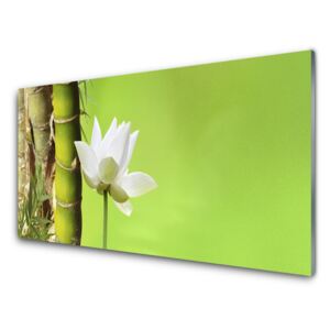 Fali üvegkép Bamboo Stem növény természet 100x50 cm