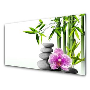 Modern üvegkép Spa Zen Bamboo Art 100x50 cm