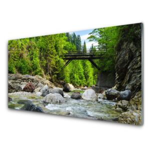 Modern üvegkép Fa híd az erdőben 100x50 cm