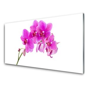 Modern üvegkép Orchidea virág orchidea 125x50 cm
