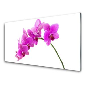 Modern üvegkép Orchidea virág orchidea 125x50 cm
