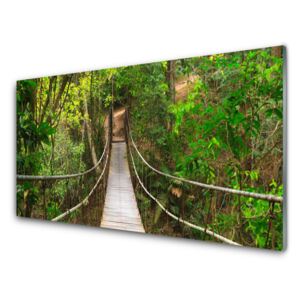 Modern üvegkép Most dzsungel esőerdő 100x50 cm
