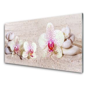 Fali üvegkép Orchidea Orchidea Sand 125x50 cm