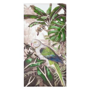 Vászon kép 60x120 cm, papagáj kék-zöld szárnnyal - SAO PAULO