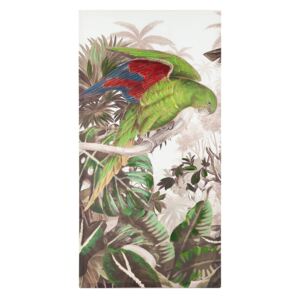 Vászon kép 60x120 cm, papagáj piros-kék szárnnyal - SAO PAULO