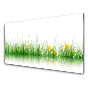 Modern üvegkép Nature Flowers Grass 100x50 cm