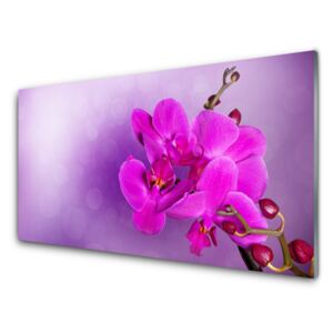 Modern üvegkép Orchid szirmok Virág 100x50 cm