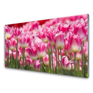 Modern üvegkép Tulipán virágok természet 125x50 cm