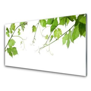 Modern üvegkép Ágak levelek Nature Flowers 100x50 cm