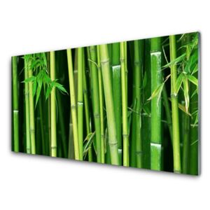 Modern üvegkép Bamboo Bamboo Forest Nature 125x50 cm