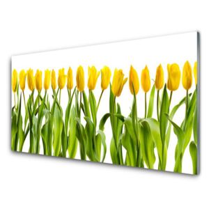 Üvegfotó Tulipán virágok természet 100x50 cm