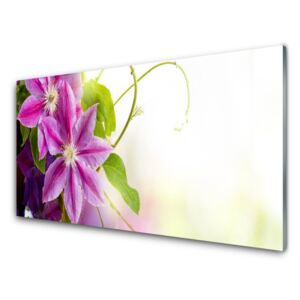 Modern üvegkép Virágok Természet 100x50 cm