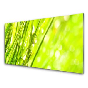 Modern üvegkép Nature csepp fű 125x50 cm