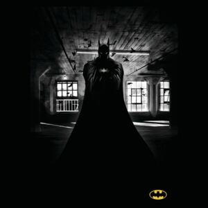 Művészi plakát Batman - Beauty of Flight
