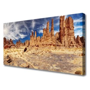 Vászonkép Fekvő sivatagi homok 125x50 cm