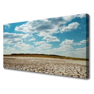 Vászonkép falra Fekvő sivatagi homok 100x50 cm