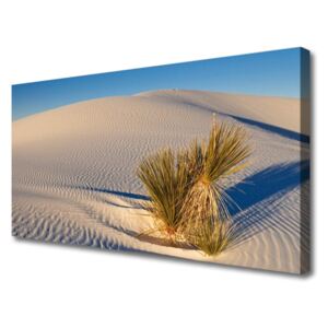 Vászonkép Fekvő sivatagi homok 120x60 cm
