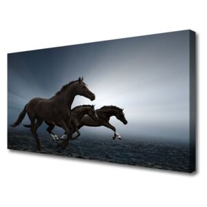 Vászonfotó lovak Állatok 125x50 cm
