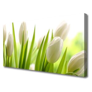 Canvas kép tulipán virágok 120x60 cm