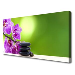 Vászonkép Orchideák zöld virágok 100x50 cm