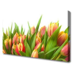 Vászonkép falra Tulipán virágok Plant 125x50 cm