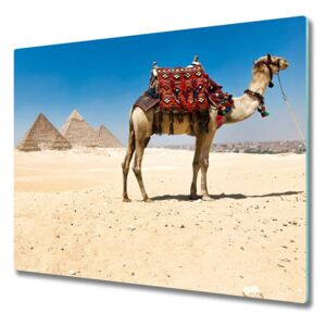 Üveg vágódeszka Camel Kairóban 60x52 cm