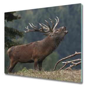 Üveg vágódeszka Deer a hegyen 60x52 cm
