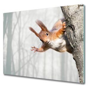 Üveg vágódeszka mókus 60x52 cm