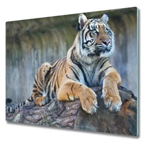 Üveg vágódeszka Tigris 60x52 cm
