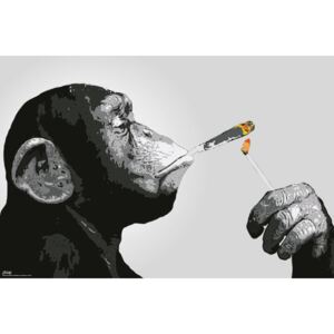 Plakát Steez - Majmok Smoking, (91.5 x 61 cm)