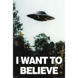 Plakát The X-Files - I Want To Believe, (61 x 91.5 cm)