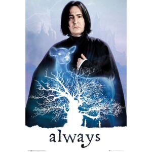 Plakát Harry Potter - Snape Always, (61 x 91.5 cm)