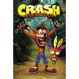 Plakát Crash Bandicoot - Crash, (61 x 91.5 cm)