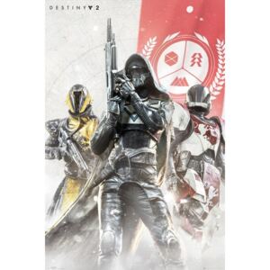 Destiny 2 - Characters Plakát, (61 x 91,5 cm)