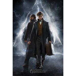 Plakát Legendás állatok: Grindelwald bűntettei - Newt & Dumbledore, (61 x 91.5 cm)