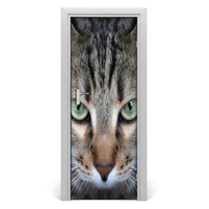 Ajtóposzter öntapadós macska szemek 75x205 cm