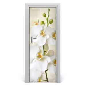 Ajtó tapéta fehér orchidea 75x205 cm